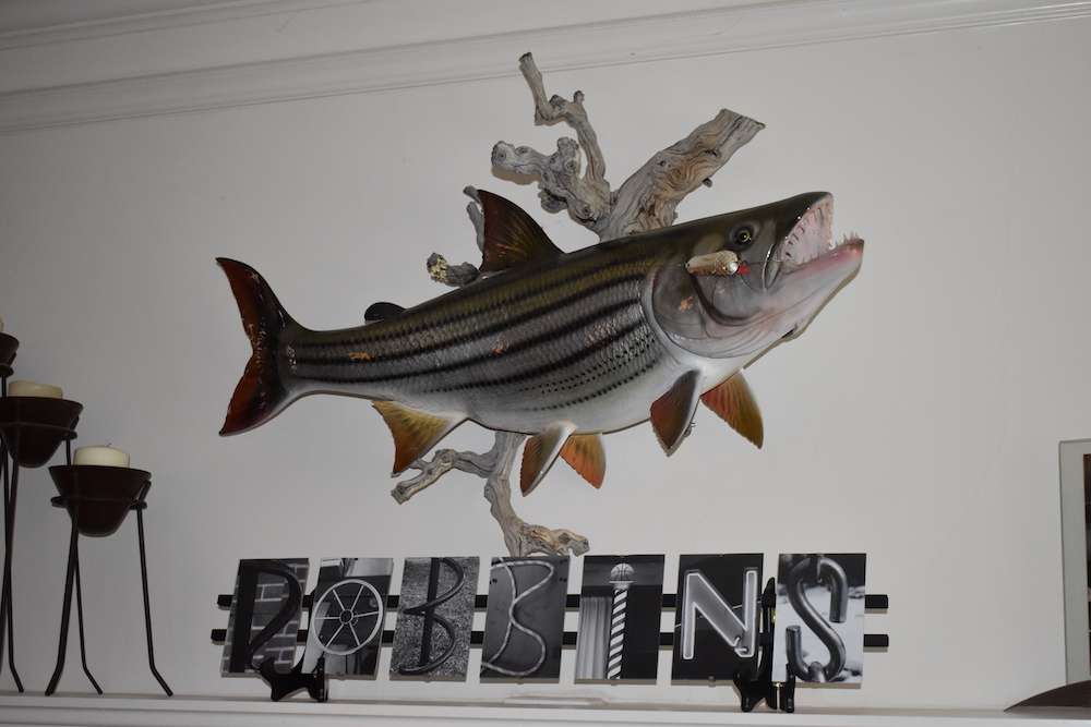 Above the mantel is a replica of a tigerfish that Hanna caught on the Zambezi River in Zambia in 2016.
