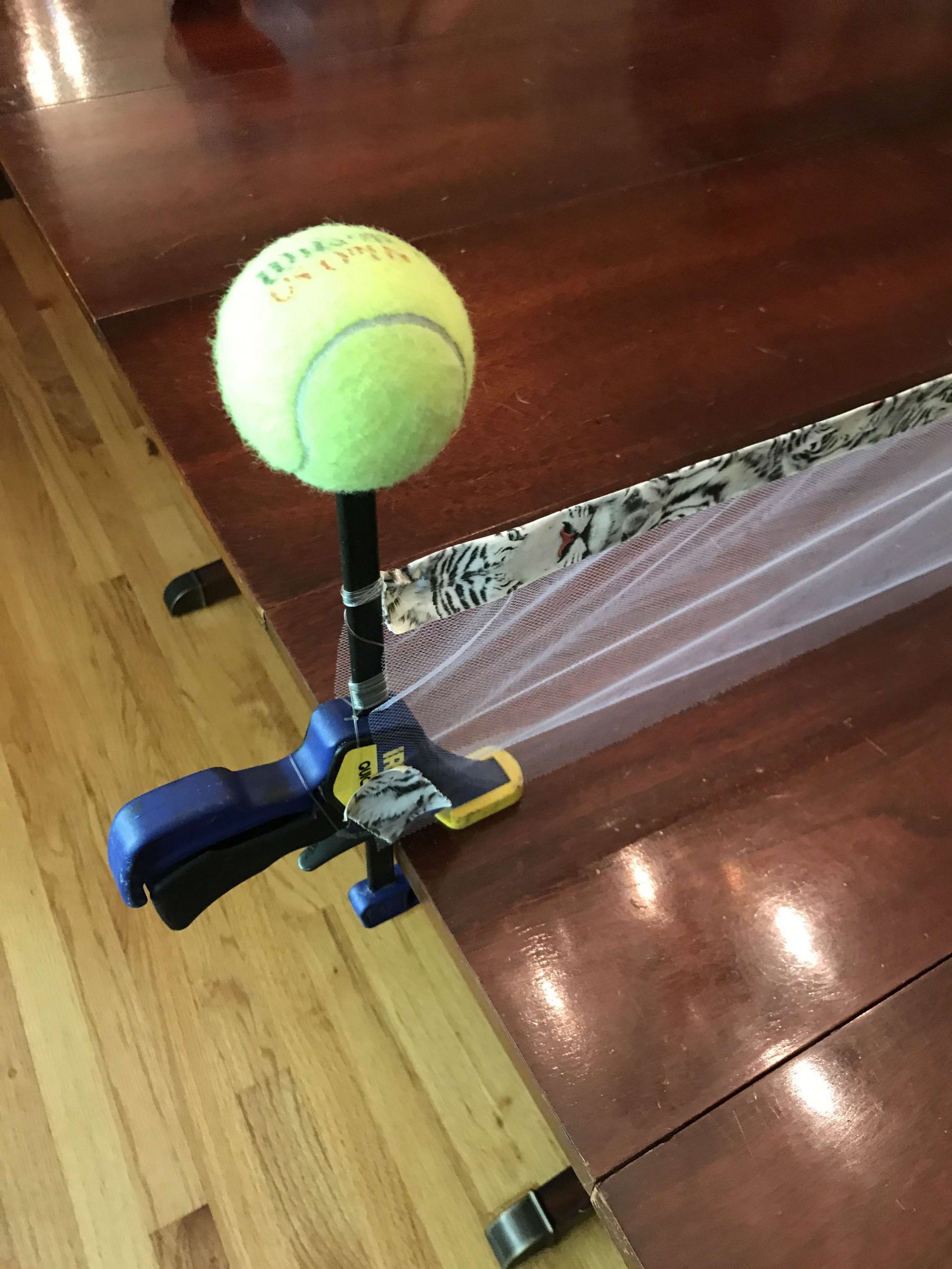 Helping the kids, Steve engineered a net on the dining room table with stuff from around the house â tulle (netting) from a wedding shower, clamps, fishing line and duct tape. Tennis balls were added for safety.