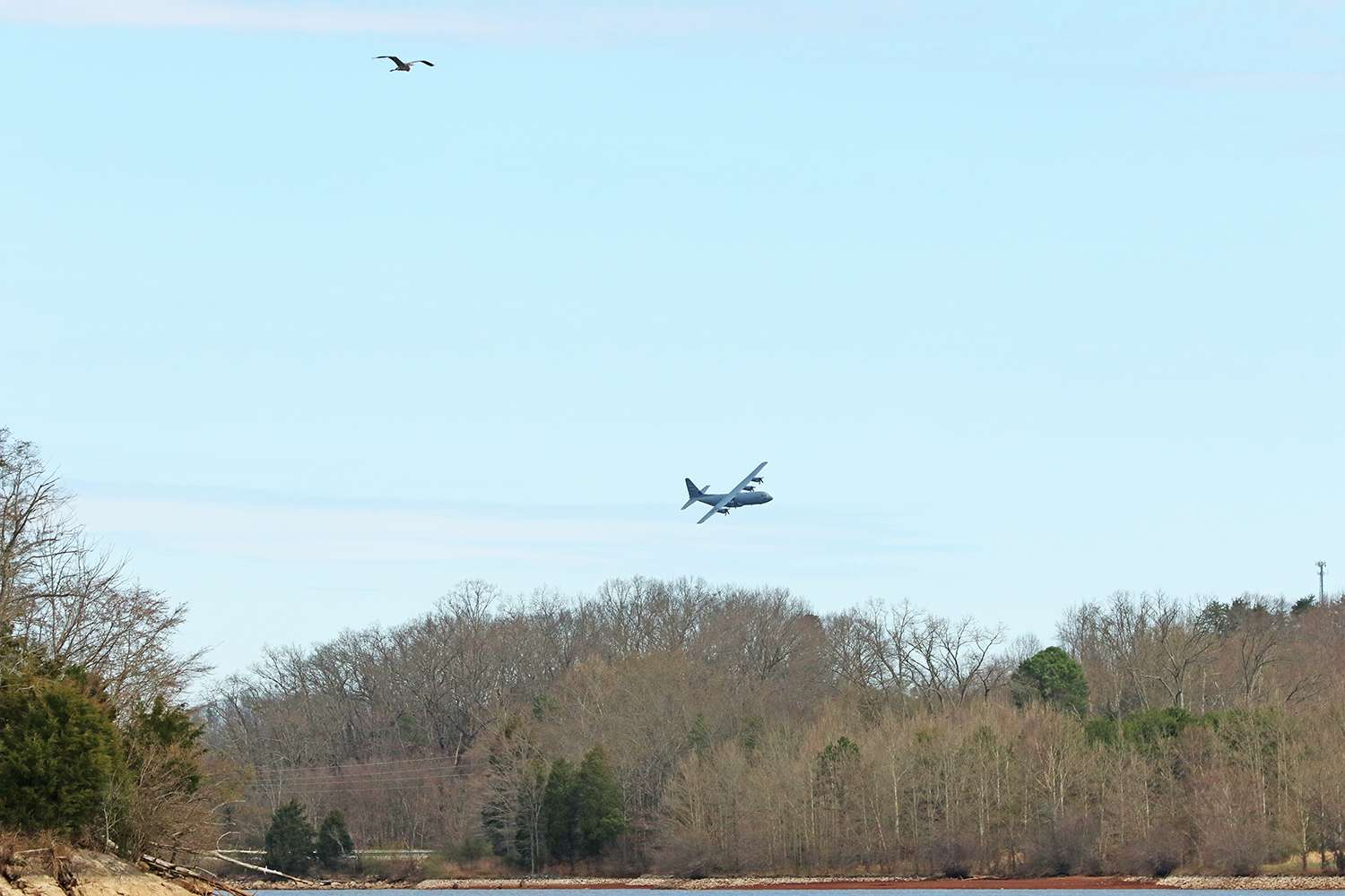 Great blue heron and USAF. 2019 Bassmaster Classic out of Knoxville, Tenn.