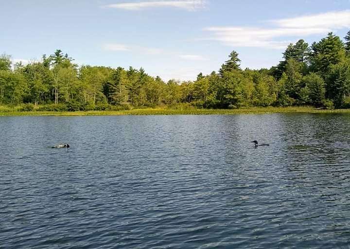Gary Maerz, Facebook<BR>
Salmon Lake<BR>
Salmon Lake, Maine. A lot of good fish and great memories the last few years.
