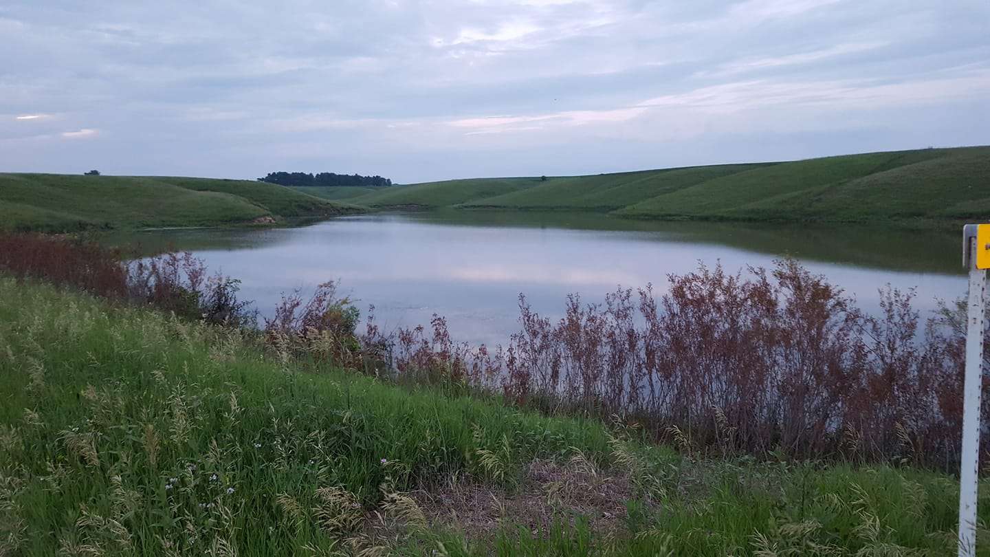Thomas Chapman, Facebook<BR>
local pond<BR>
A farm pond that was dammed up. This place will always hold a special place in my heart. 
