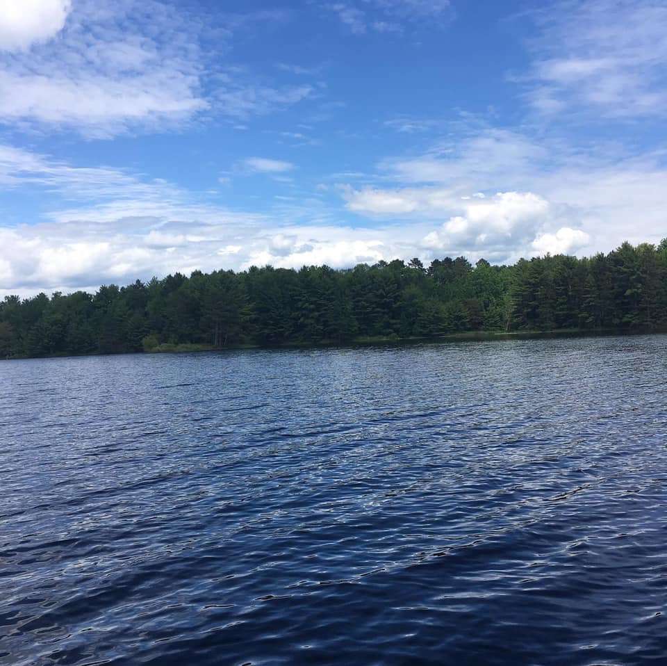 Dave Jones, Facebook<BR>
Willow Flowage<BR>
Willow Flowage, Bass are elusive. A beautiful place.
