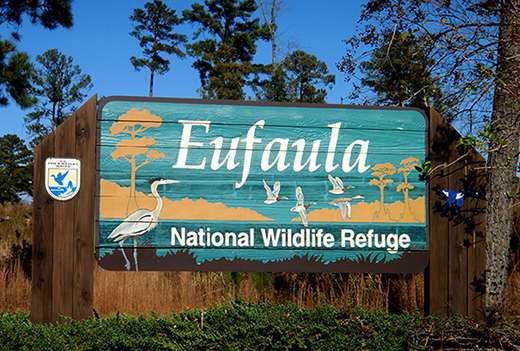 On the northern end of the lake is the Eufaula National Wildlife Refuge. Lakepoint State Park lies within the refugeâs 11,000 managed acres, which are designated to protect endangered and threatened wildlife such as the wood stork.