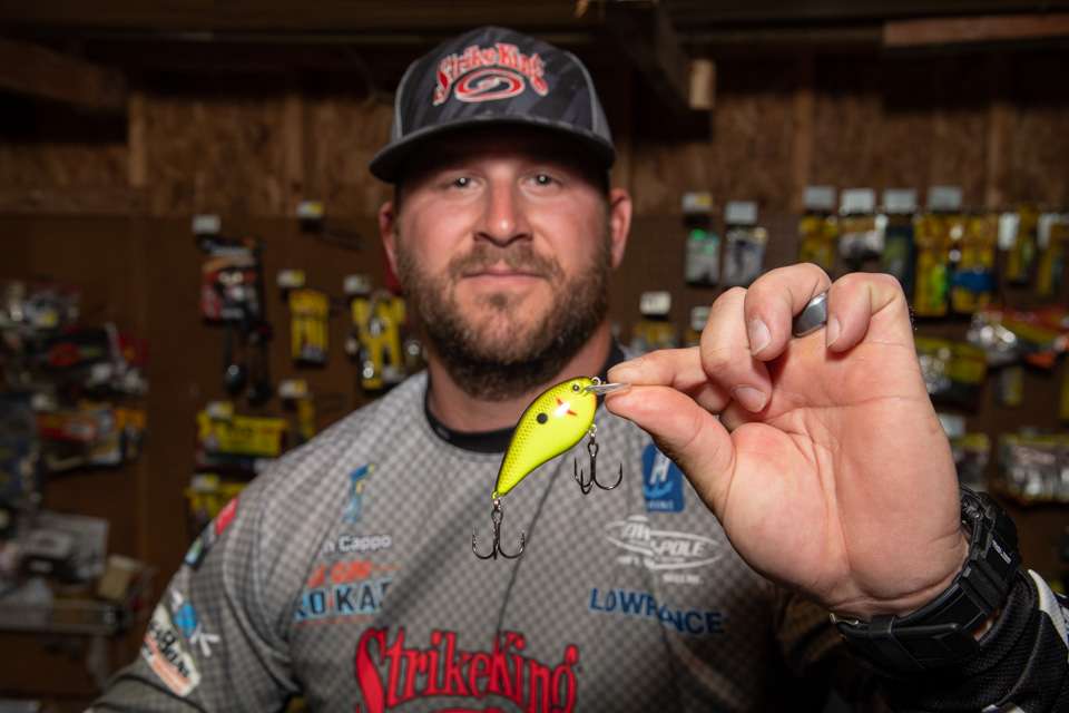 A Strike King KVD 1.5 square bill is a critical part of Cappoâs beginnerâs lure choices. âItâs good around wood,â Cappo said. âItâs got great vibration, and itâs a good bait to cover water. Itâs perfect when fish are shallow, diving to 3 feet.â