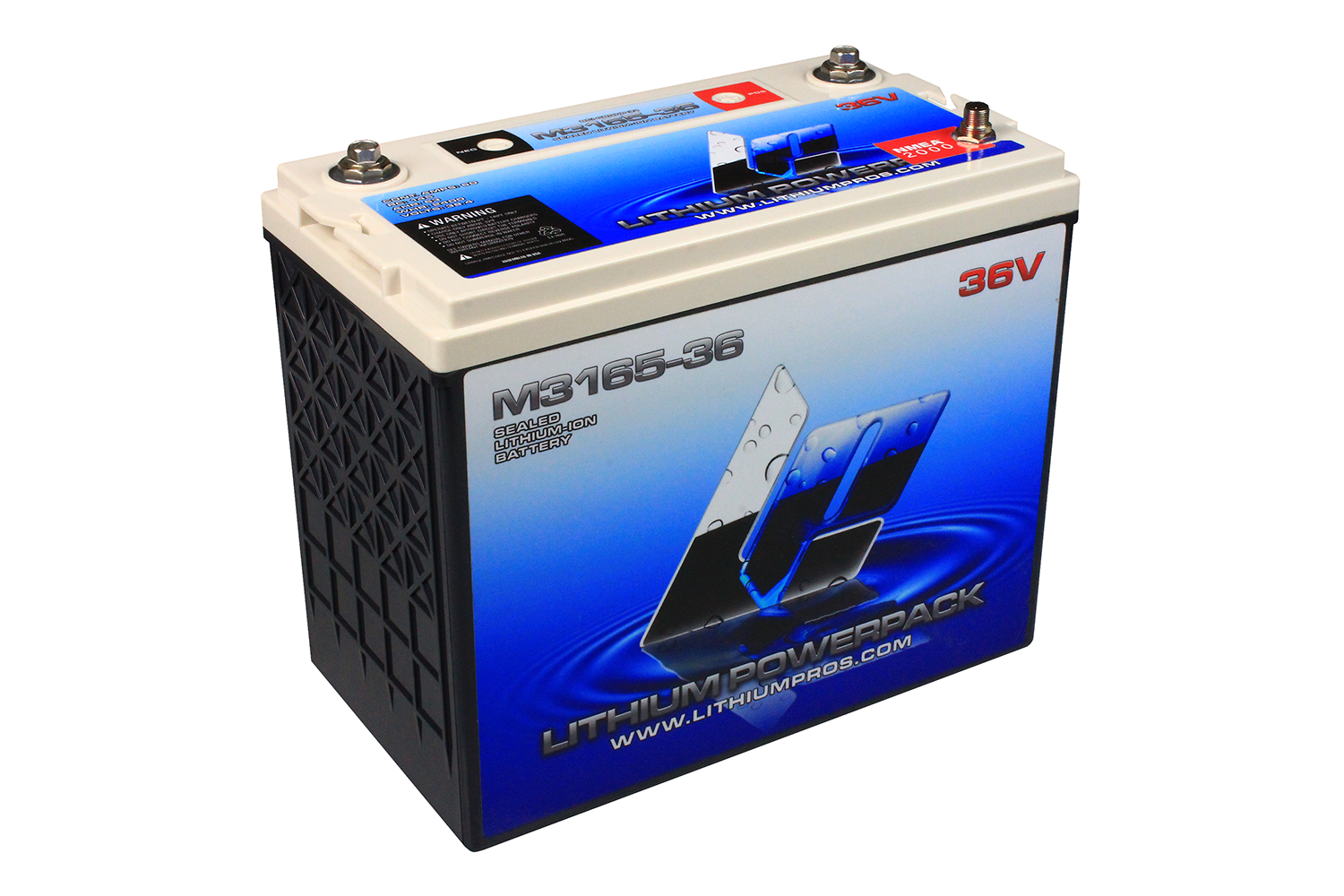 <p><b>Lithium Pros M3165-36 Lithium-ion Battery</b></p>
<p>Replace three Group 31 marine AGM batteries with ONE M3165-36 Lithium-ion battery. This is a perfect fit for most bass boats and other shallow water fishing boats where weight is a premium. Itâs a fast and easy way to take 189 pounds out of the boat and have more storage space. Yes, you read that correctly. Itâs the same as leaving your co-angler on the dock (or the marshal, your choice.)  A lighter boat is faster and more fuel efficient and can get into more places.  Catch fish where your competitors canât. This 36V 65Ah Trolling Battery features 150 reserve minutes, or enough power for extended trolling in one area from daylight to dark.</p>
<p><a href=