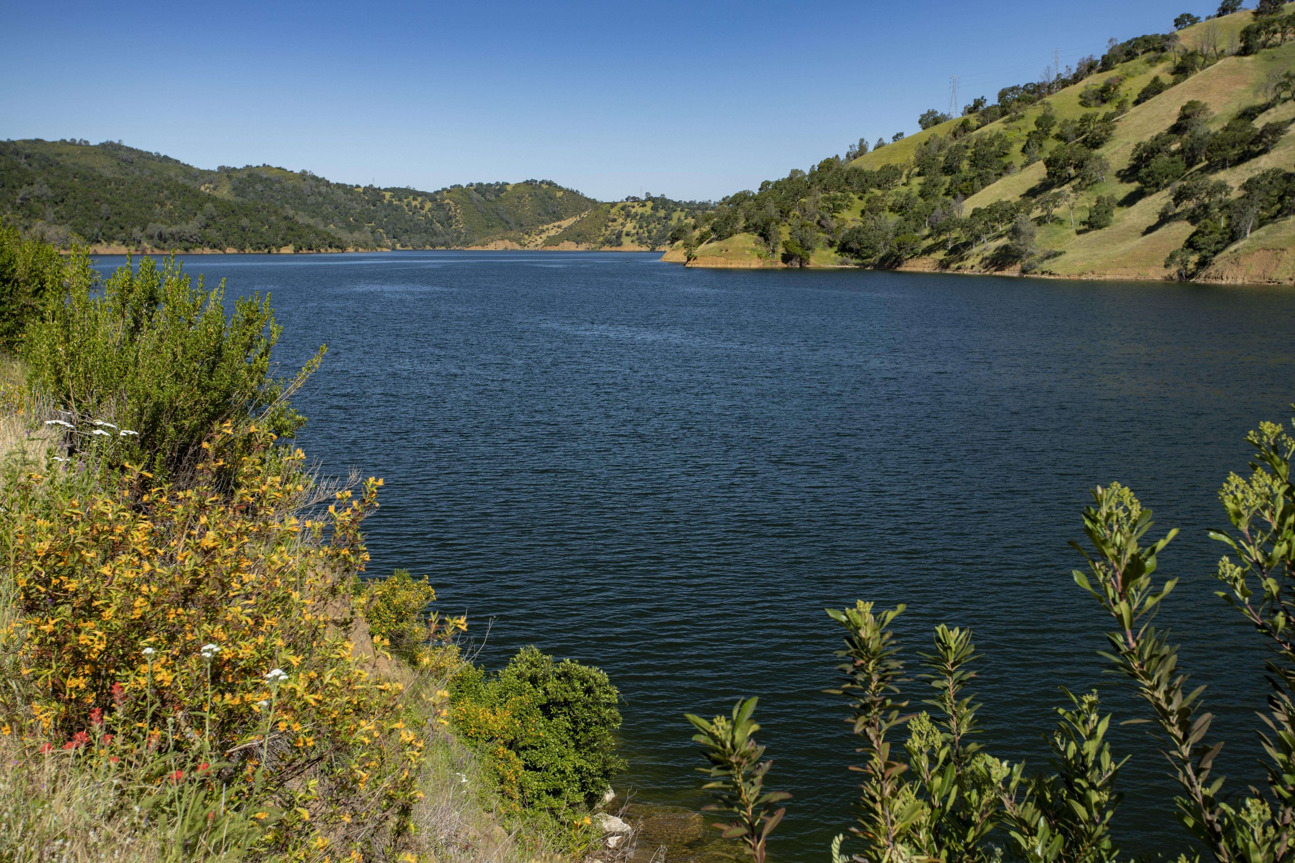 Lake Berryessa is a 20,700 acre lake in Napa County, California. 