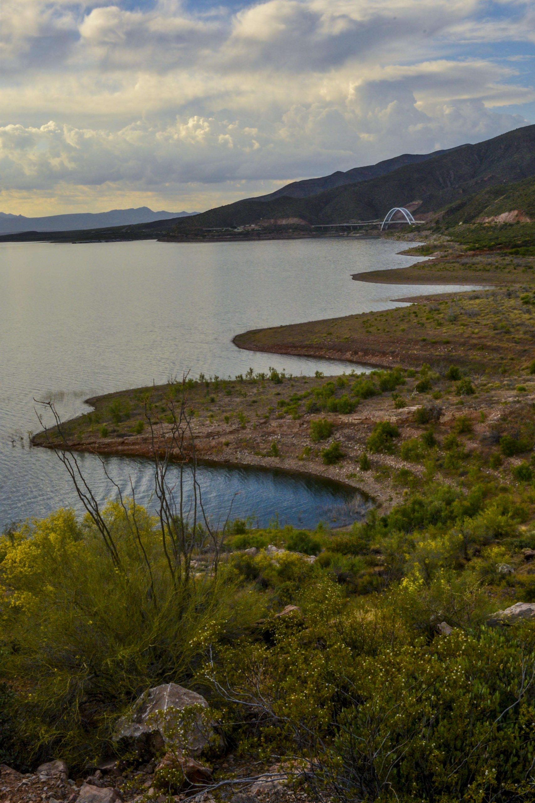 Roosevelt Lake is a 21,493-acre lake in central Arizona. 