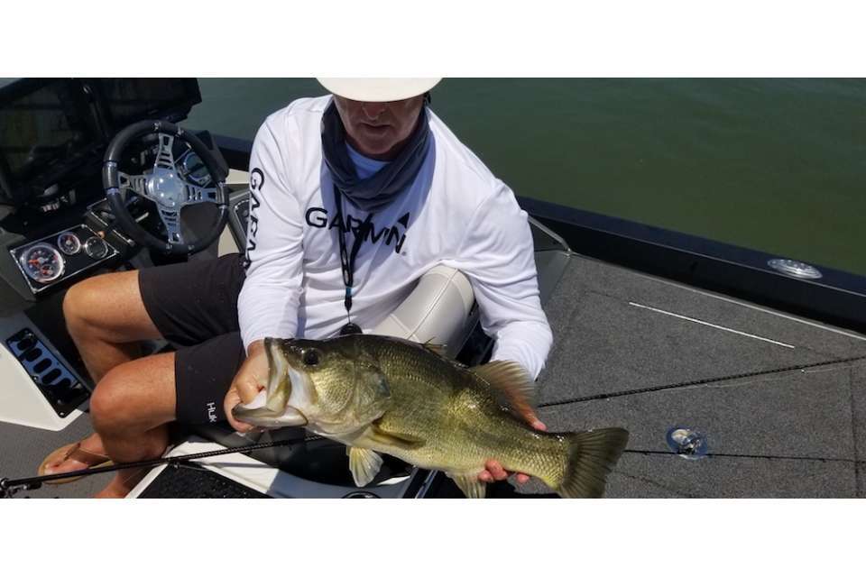 There is always a possibility of a double-digit bass at Guntersville. Each year, true lunkers are caught from Guntersville, with the lake record a 14-8 caught in Feb. 1990. The Elites can bring in their best five fish each day, with a minimum length of 15 inches. In last yearâs Elite, Bernie Schultz landed the Phoenix Boats Big Bass with this 7-pounder.