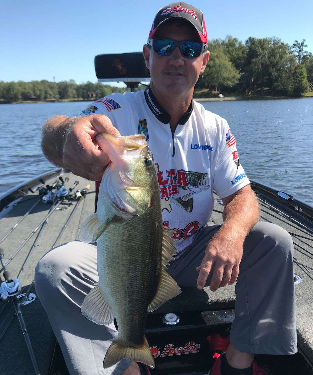 <b>1:59 p.m.</b> With one minute remaining, Latuso bags his sixth keeper, 3 pounds, 8 ounces, off the hump on the Carolina-rigged lizard; it culls the pounder he caught earlier and bumps his weight total up to 13 pounds, 12 ounces.
<p>
<b>THE DAY IN PERSPECTIVE</b><br>
âThat cold front made the bite pretty slow, but I managed to scratch out some decent fish,â Latuso told Bassmaster. âThe shallow laydown bite tapered off by midmorning, and the boathouse/dock pattern never did materialize. While there are some quality fish up shallow, I believe the biggest bass are still offshore, and if I were to fish here tomorrow, Iâd definitely spend more time probing deeper structure.â
<p>
<b>WHERE AND WHEN ROBBIE LATUSO CAUGHT HIS FIVE BIGGEST BASS</b><br>
4 pounds, 12 ounces; white 3/4-ounce Delta Lures spinnerbait; shallow laydown; 8:49 a.m. <br>
2 pounds, 3 ounces; same lure as #1; laydown on secondary point; 9:26 a.m. <br>
2 pounds, 1 ounce; black/blue 1/2-ounce Missile Flip Out jig with matching V&M J-Bug trailer; same place as #2; 9:28 a.m. <br>
1 pound, 4 ounces; hematoma (black/blue/red) Missile Baits D Bomb creature Texas-rigged with 1/2-ounce sinker; laydown on main-lake point; 1:06 p.m. <br>
3 pounds, 8 ounces; red Zoom Magnum lizard on Carolina rig; offshore hump; 1:59 p.m. <br>
<b>TOTAL: 13 POUNDS, 12 OUNCES</b>