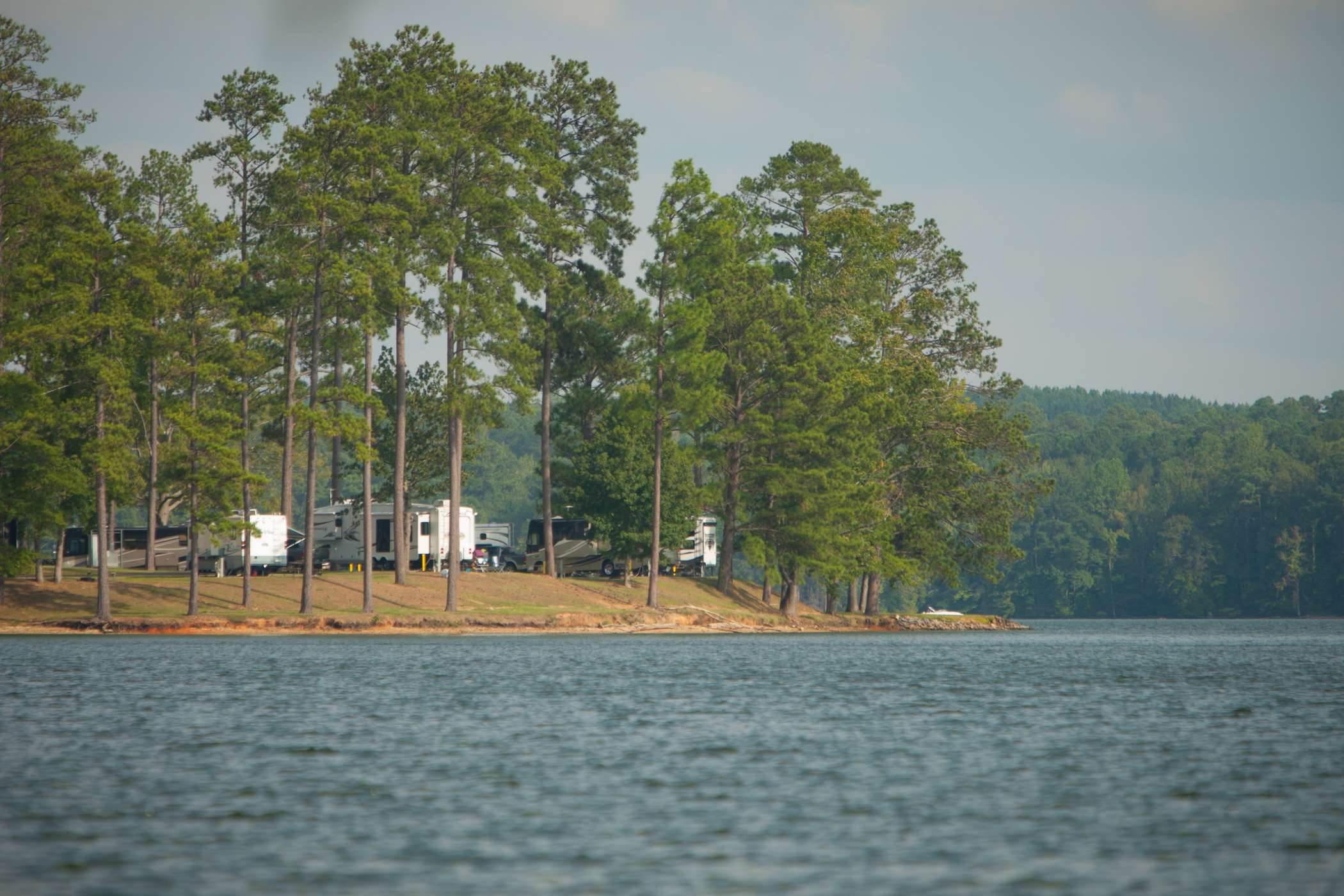 <h4>Wind Creek State Park, Alabama</h4>
Cabins, campsites, ziplines, mini-golf and horseback riding all await at Wind Creek State Park. This family-friendly, wooded retreat on the shores of Lake Martin has an astounding 586 slots along with a pizza and sandwich shop, plus a full-service marina. The campground offers standard Jon boat rentals along with bass boats, making it truly one of the most bass angler friendly campgrounds in the nation. 
