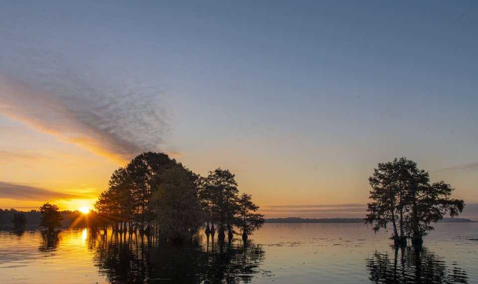 See the current condition of the Santee Cooper Lakes headed into this week's Bassmaster Elite in South Carolina.