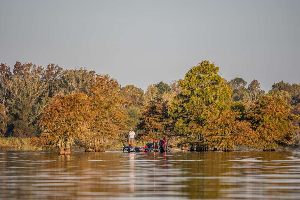 Catch up with Hank Cherry as he gets going early on Day 1 of the 2020 Bassmaster Elite at Santee Cooper Lakes!
