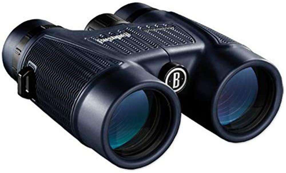 <p><strong>Bushnell H20 Waterproof/Fogproof Binocular</strong><br><span><strong>Buy it now on <a href=