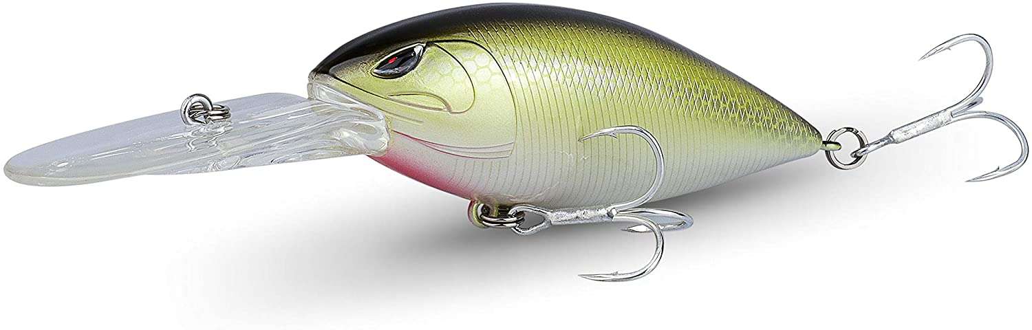 <p><strong>RUNCL Deep Diving Crankbait</strong><br><span><strong>Buy it now on <a href=
