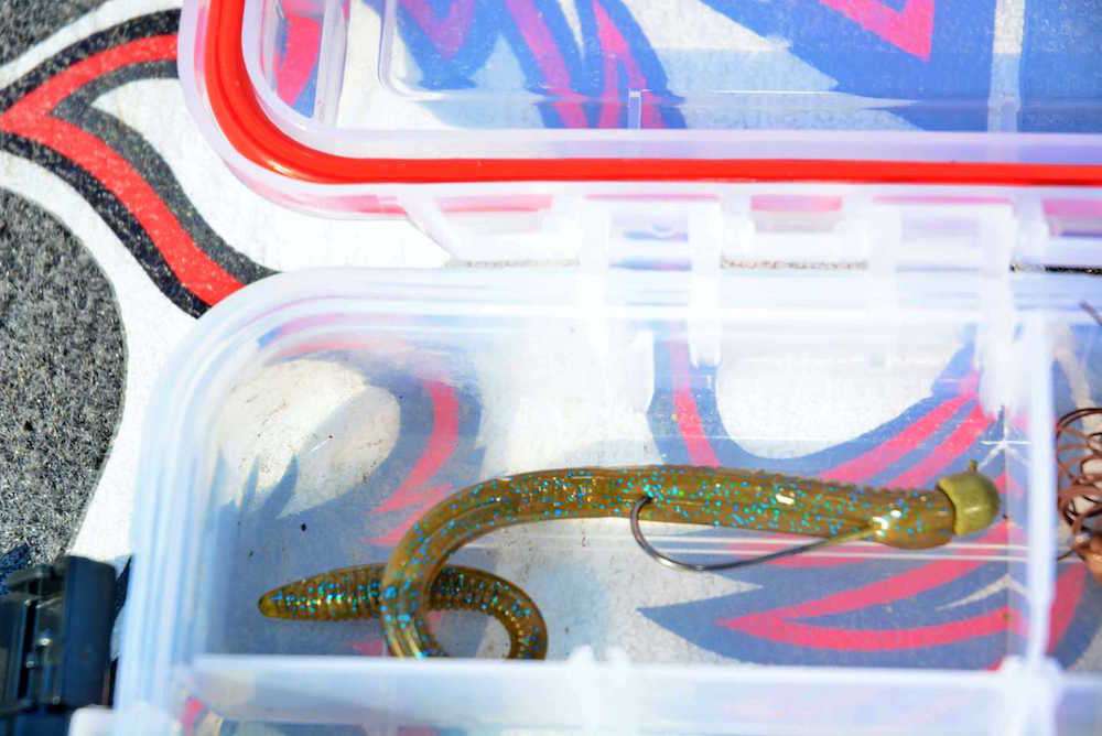 His choice is a 3/16-ounce shaky head featuring a 4/0 Mustad Hook. A 6-inch X Zone Lures Deception Worm, green pumpkin/blue flake, completes the rig. 
