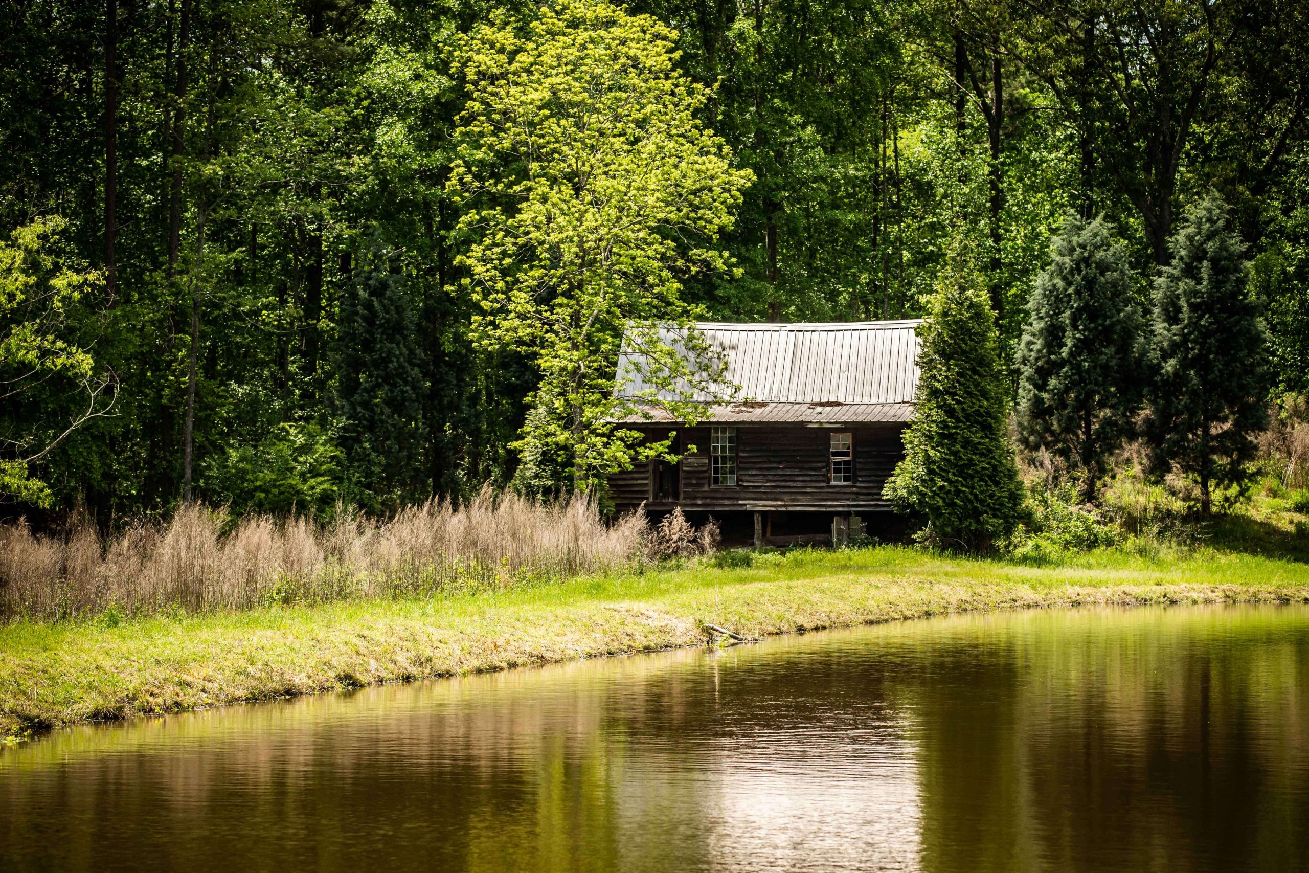 There is a cool, secluded cabin on the shores of one of the farm ponds. 