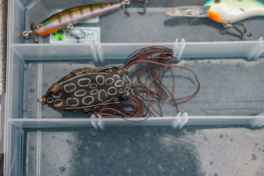 The topwater frog occupies the first spot in the second divider in the Lure Lock box.
