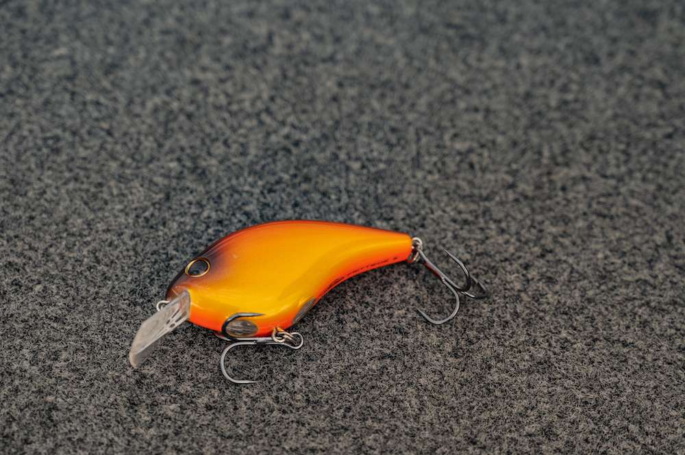 Another crankbait joins the collection of hard baits ...