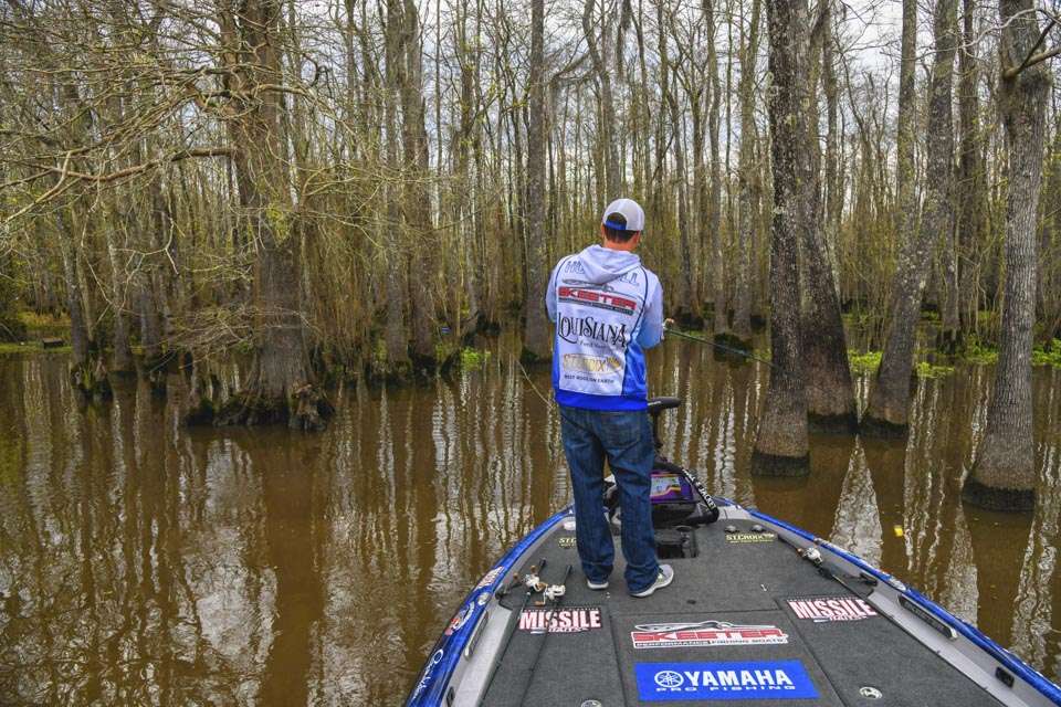  Often the trees are so thick itâs only possible to cast into the stands of cypress, but he pushed into deeper sloughs running out of the inches-deep wetlands. âYou see that clean water pulling out of there?â he asked. âThatâs why bass love them; those runouts are pulling bait out of the swamps, and the bass can sit there and feed.â