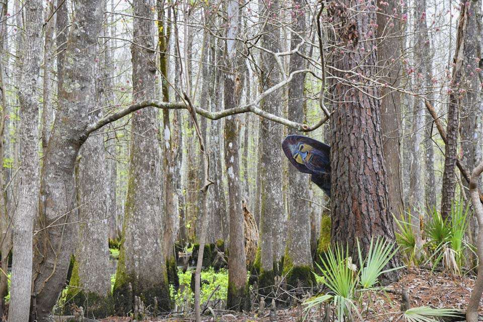 This is South Louisiana, and that means you never know what youâll see. Like this Big Foot peeking from behind a tree. âI never saw that,â he said with a chuckle. âThatâs too funny!â
<br><br>
Of course, thereâs plenty of wilderness in this part of the country for Big Foot to thrive and go unnoticed (if you believe in that sort of thing).
