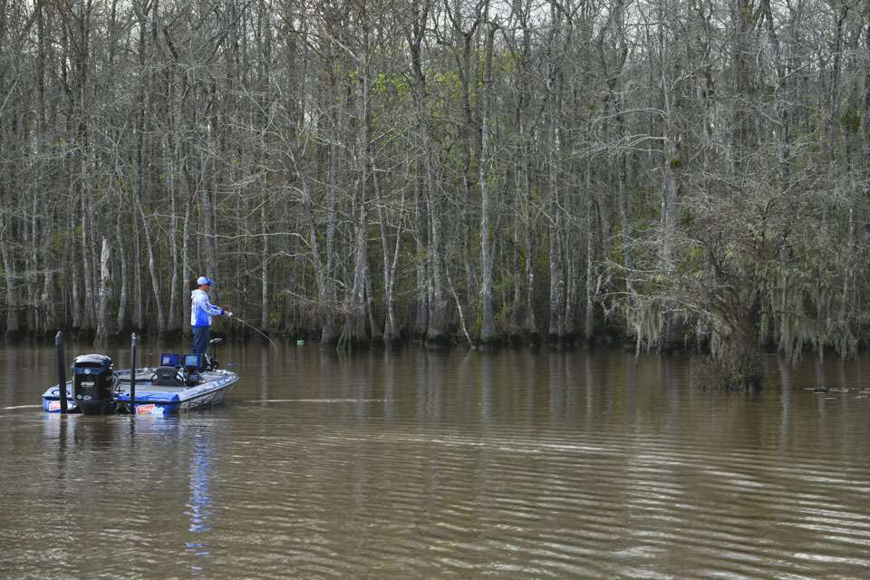 Bass often hang out around outside cypress trees, which offer a little deeper water for more stable conditions, Hudnall said. 