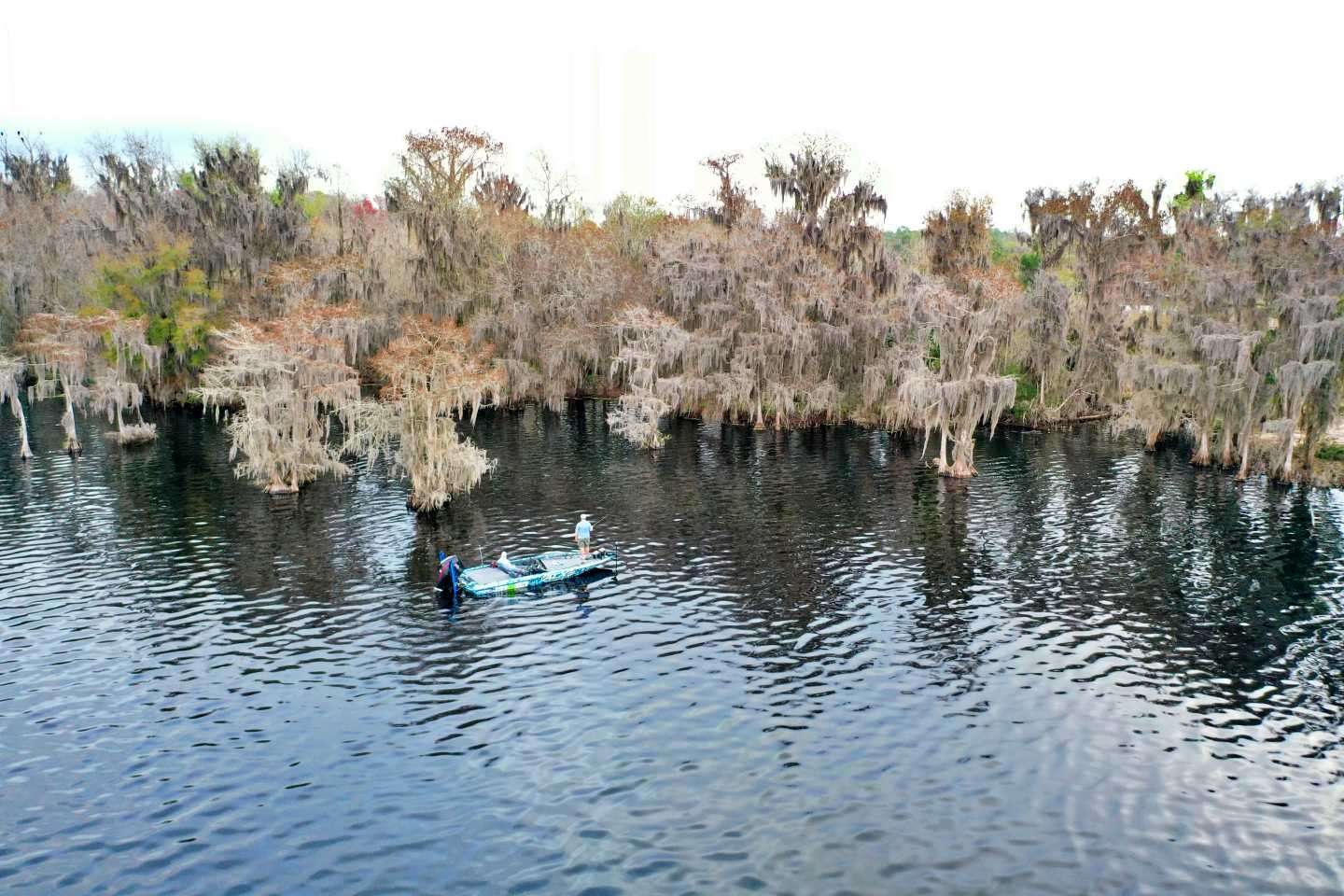 Crescent, and elsewhere in this part of the river, has cypress trees with knees and extended roots that provide ideal bass habitat. 