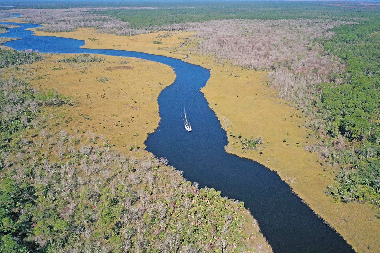 From its headwaters to estuary, the St. Johns River falls only 30 feet, or about 1 foot every 10 miles, making it one of the laziest rivers. The St. Johns is influenced by tides, which in times of low water can affect water levels 160 miles upstream.  