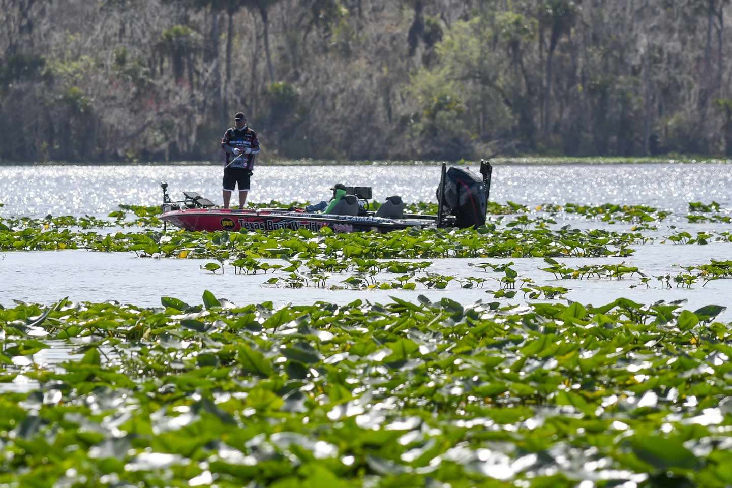 Day 1 afternoon action from the 2021 AFTCO Bassmaster Elite at St. Johns River.