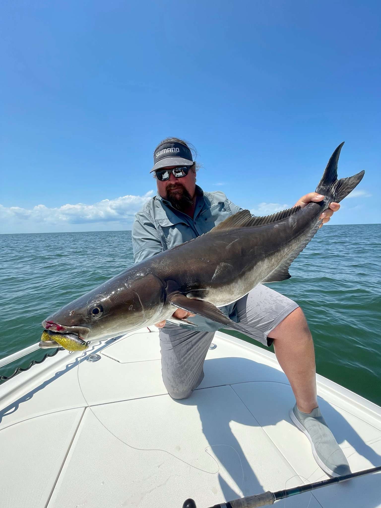 A heavy-duty, wide gap Mustad UltraPoint hook arms each HerculeZ Swimbait to easily handle the toughest, meanest fish, including monster cobia. 