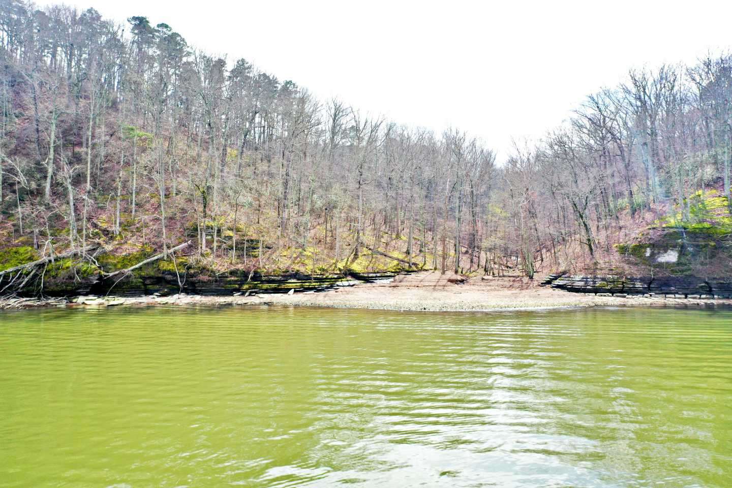 Our first stop is a classic Pickwick main-lake drain. The boat is 75 yards off the shoreline and the water is only 8 feet deep. âWhen the water comes up, and during prespawn, the bass will use these pea gravel flats as a current break, where they will stack up and you can even use side scan to see them.â 
