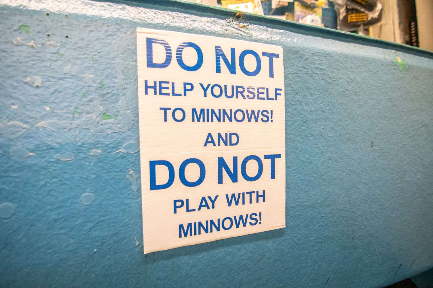 You can get your minnows and live bait at Perkins, but don't help yourself. 