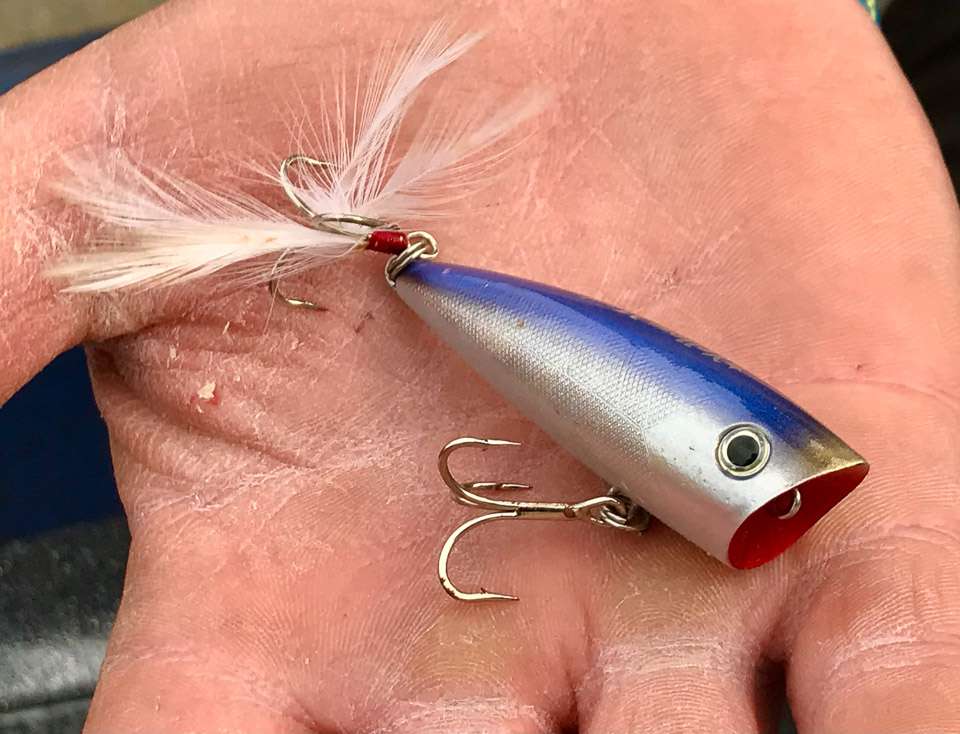 <b>Yellow Magic Popper.</b> The hand-painted Japanese topwater is one of Rivetâs go-to baits in the South, and heâs a big fan of the feathered treble. âYou get four times more bites with a feather.â
