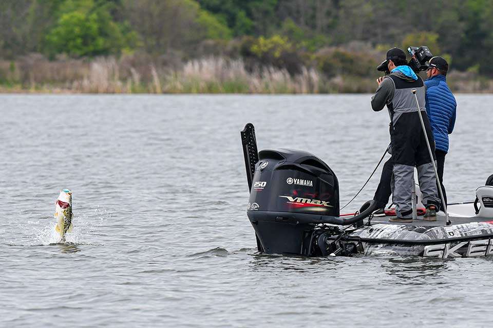 Louisiana pro Quentin Cappo was in the mix at the top with the second largest bag on Day 1 at 28-15, which included an 8-3 and 6-4. On Day 2, he was at it again, reeling in this 7-1. 