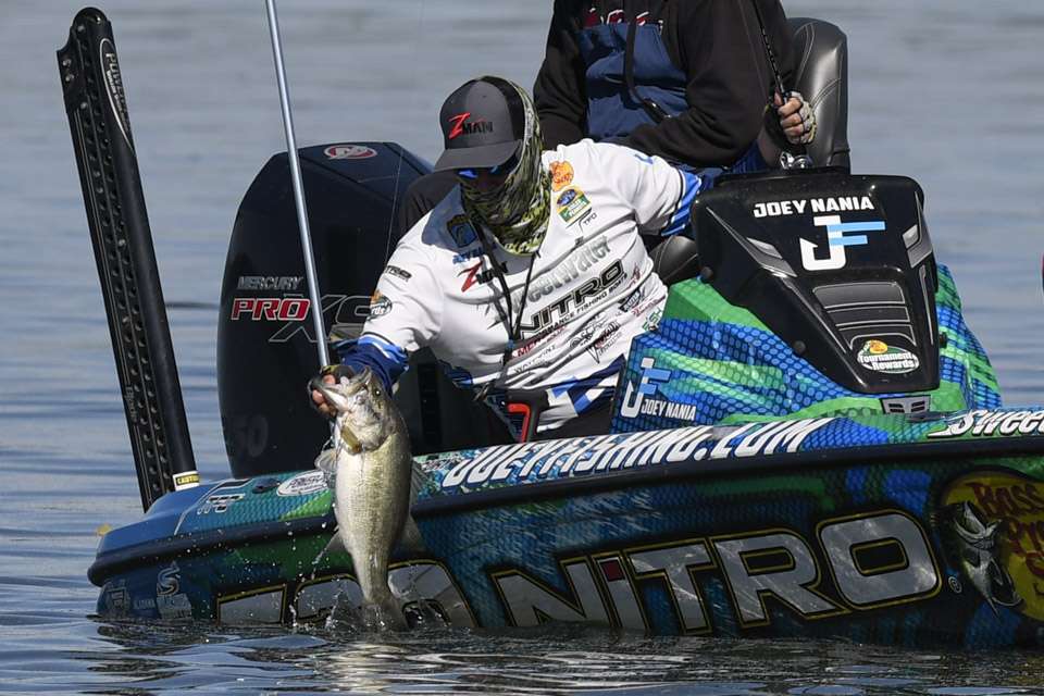 A keen observation led Nania to a game-winning bait change on Championship Saturday. See all the baits used by the top anglers in a tournament with all phases of the spawn underway. 
