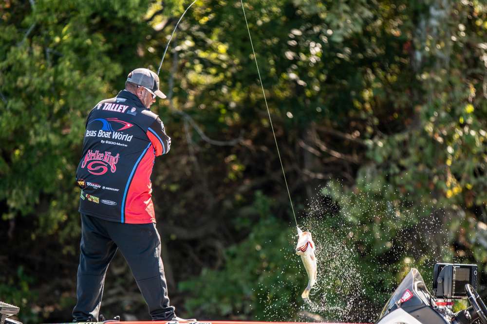 Last fall, winner Frank Talley was heading upriver to his spot but stopped on a patch of eelgrass that looked good. That gut feeling paid off quickly for Talley, who started in sixth place almost 3 pounds behind the leader. 