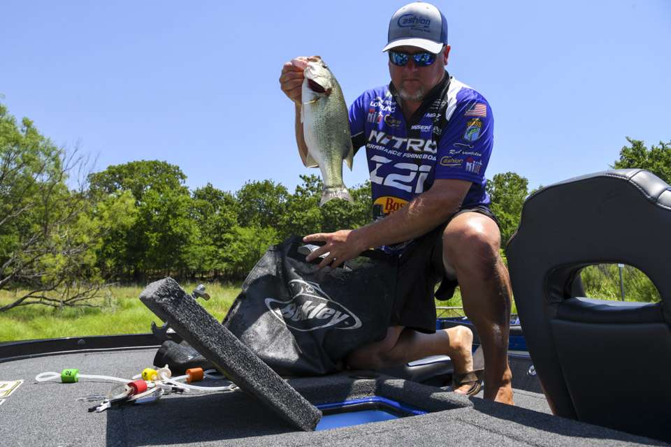 After being weighed, the angler has the option to place his largest 2 bass back into the livewell. 