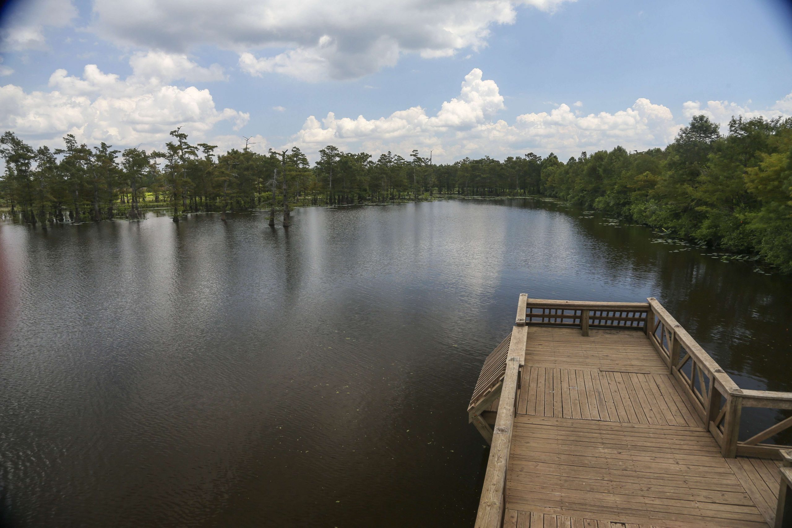 <h4>21. Felsenthal National Wildlife Refuge, Arkansas </h4> [64,902 acres] <br>Felsenthal NWR is a wetlands complex in south-central Arkansas at the confluence of the Ouachita and Saline rivers. Felsenthal ranked second in 2020 in the stateâs Tournament Information Program FQI, behind only Bull Shoals in the quality of competitive catches. It also had the second-highest average winning weight in one-day events (18.49 pounds) and the third-highest average weight per bass (2.31 pounds). The Arkansas B.A.S.S. Nation showed just how much faith it had in Felsenthal when it held its state championship there in 2020.