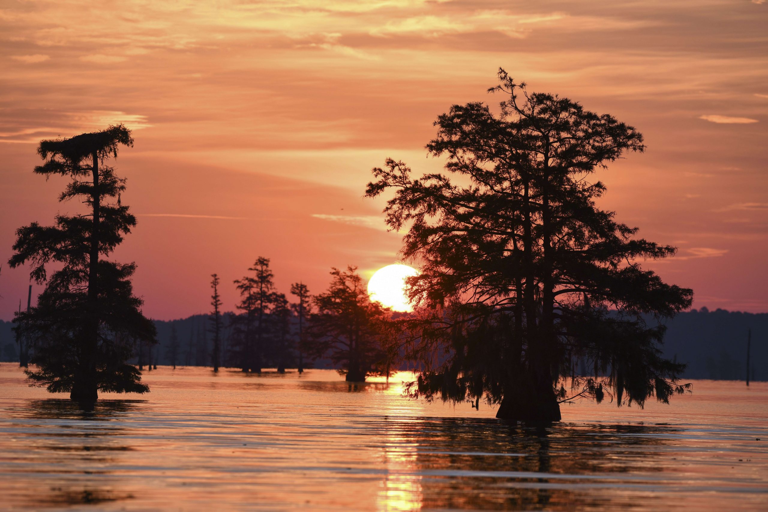<h4>1. Santee Cooper Lakes (Marion/Moultrie), South Carolina</h4>[110,000 acres and 60,000 acres, respectively] <BR>These sister lakes have been a juggernaut on the rankings since the inception of the research. This year, Marion and Moultrie continue to prove they are a must-visit for every bass angler. A May CATT event here saw a winning weight of 25.64, and an early April derby took 27 pounds to win. That said, the real eye-opener was the late April CATT tournament that saw 33.31 pounds earn the first-place prize. Santee Cooper lakes have the secret sauce to produce giant bass and remain the crown jewel of South Carolina bass fishing.