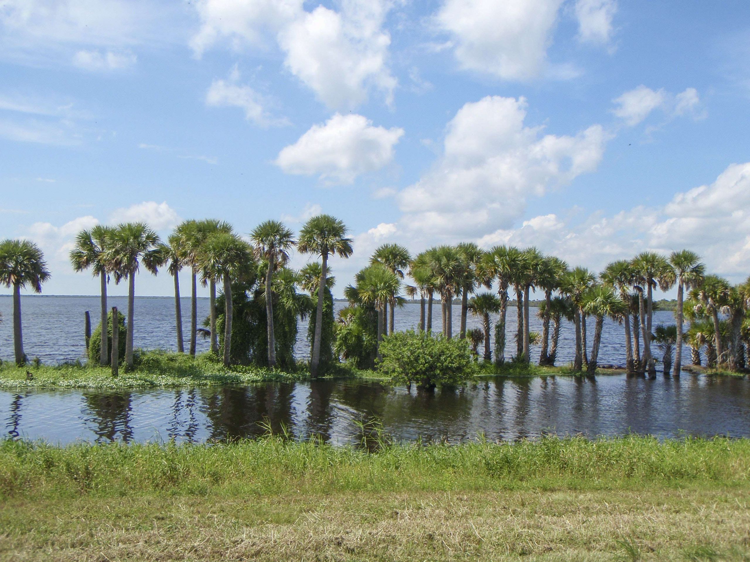 <h4>9. Kenansville Lake and Stick Marsh/Farm 13, Florida</h4> [2,500 acres and 6,500 acres, respectively]<br> Kenansville is a small, shallow impoundment that was once a cow pasture. The state flooded it in 1993. Now local bass anglers call it âJurassic Parkâ because of the beastly largemouth that live there. Eleven bass have been submitted to the Florida TrophyCatch program this year, five of which topped 10 pounds. Add to this killer little lake Stick Marsh/Farm 13 (only 2 miles away, and the overflow parking for Kenansville), which has given up 13 bass over 8 pounds this year â including a 12-2 â and you have sister lakes where dreams are made. By the way, Fellsmere, also in these rankings, is a stoneâs throw away.