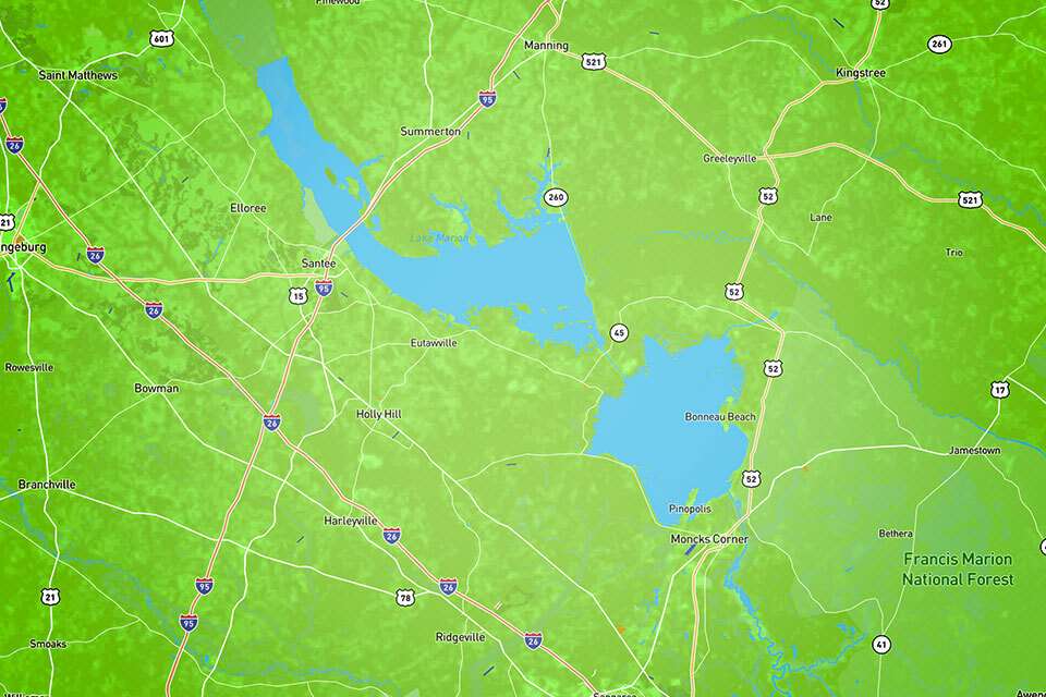 <h4>3. Santee Cooper lakes (Marion/Moultrie), South Carolina </h4>[110,000 acres and 60,000 acres, respectively]  