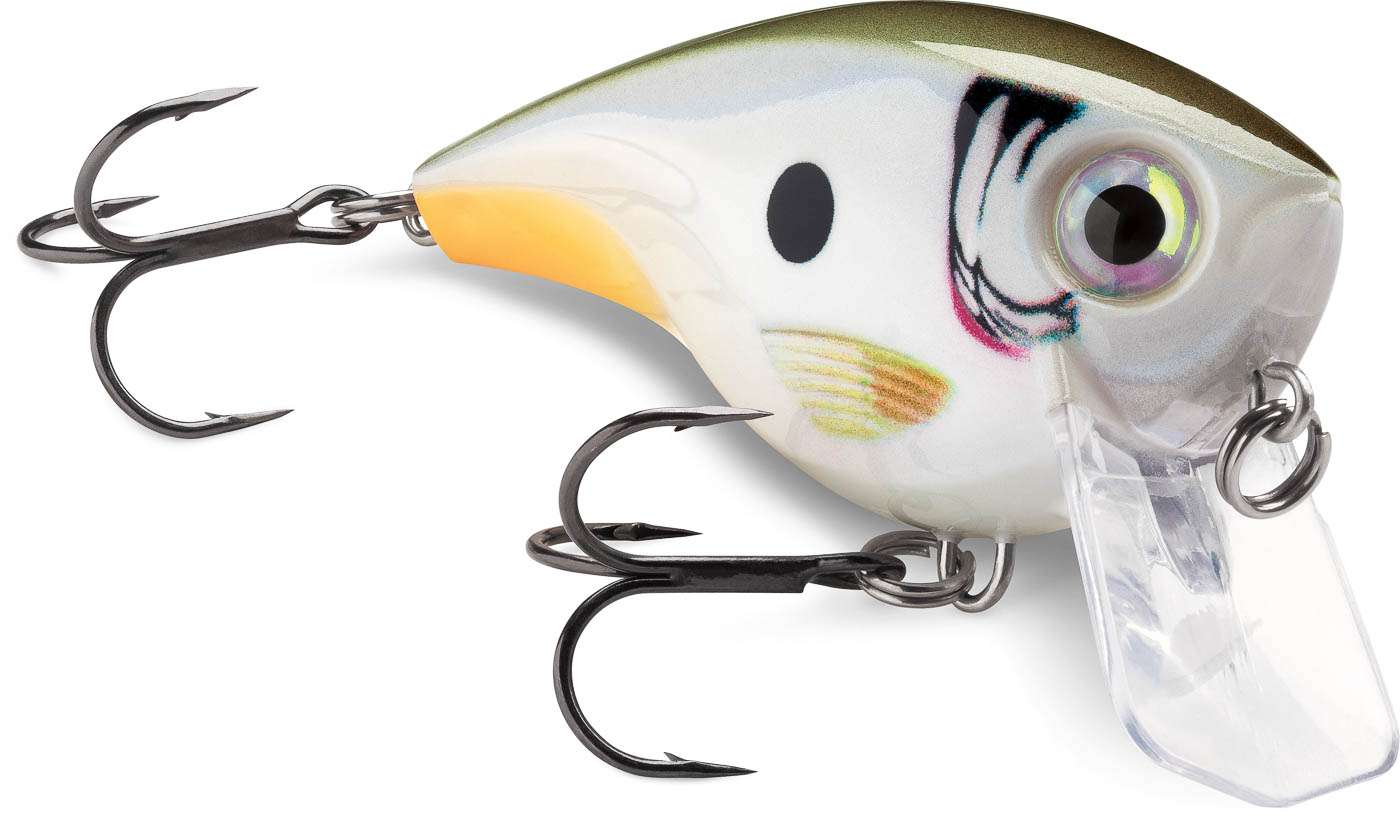 <p><strong>Rapala BX Mid Brat</strong></p><p>BX Brat square-bill crankbaits feature a balsa-wood core within a brawny hard-plastic shell. Rapala balsa baits famously float up and back out of cover well, minimizing snags. Encasing a balsa core in copolymer armor allows a BX Brat to bounce off cover and trigger bites without hanging up often and getting beat up. The new BX Mid Brat dives up to 5 feet. It measures 2 Â½ inches, weighs 7/16 ounces and comes armed with two sticky-sharp VMC No. 4 black-nickel, round-bend treble hooks. BX Brats are available now in three models: BXBB03, the original; BXBB06, the Big Brat; and now BXBB05, the Mid Brat. The numeral following the zero in the model number signifies the baitâs maximum diving depth. $10.99.  <a href=