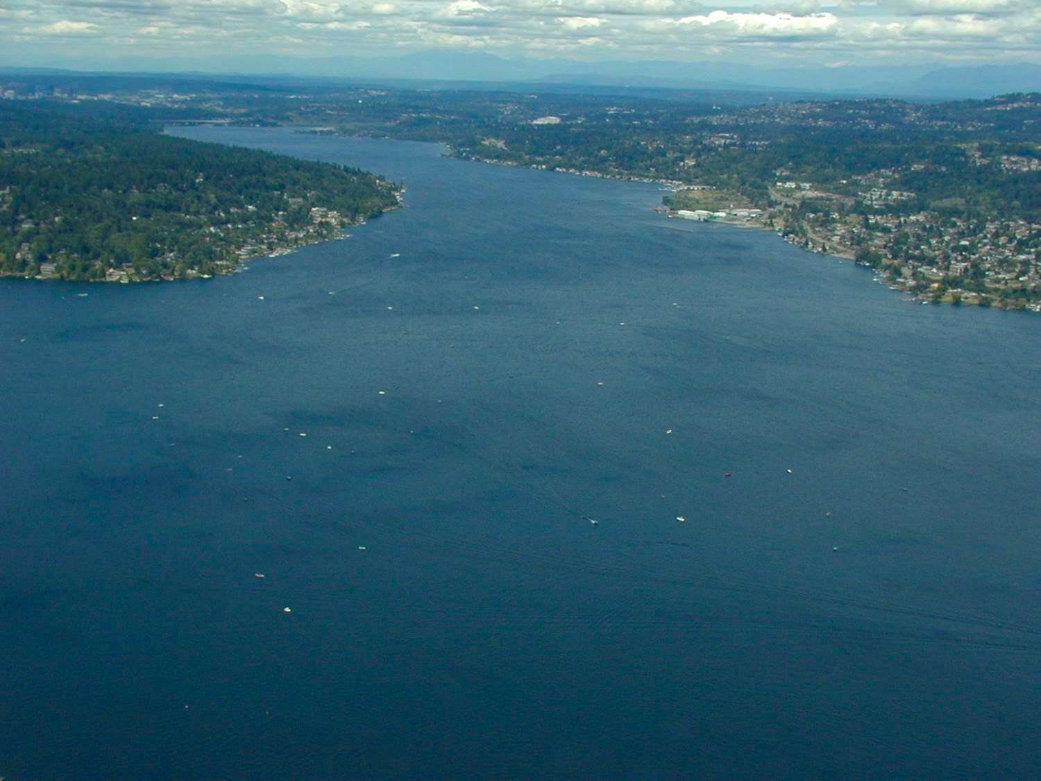 <h4>18. Lake Washington, Washington </h4>[21,934 acres] <br>This glacially-created lake is unique, with inlets at both ends and a central man-made outlet. Itâs characterized by steep, highly urbanized banks with thousands of docks. The Washington Department of Fish and Wildlifeâs Warmwater Program studies indicate that largemouth numbers are down, while smallmouth are up. Angler surveys are consistent, revealing smallies as the preferred target. Both, however, get sizable. A 7.01 largemouth and a 5.76 smallmouth were big fish at a Washington Bass Association event in March.