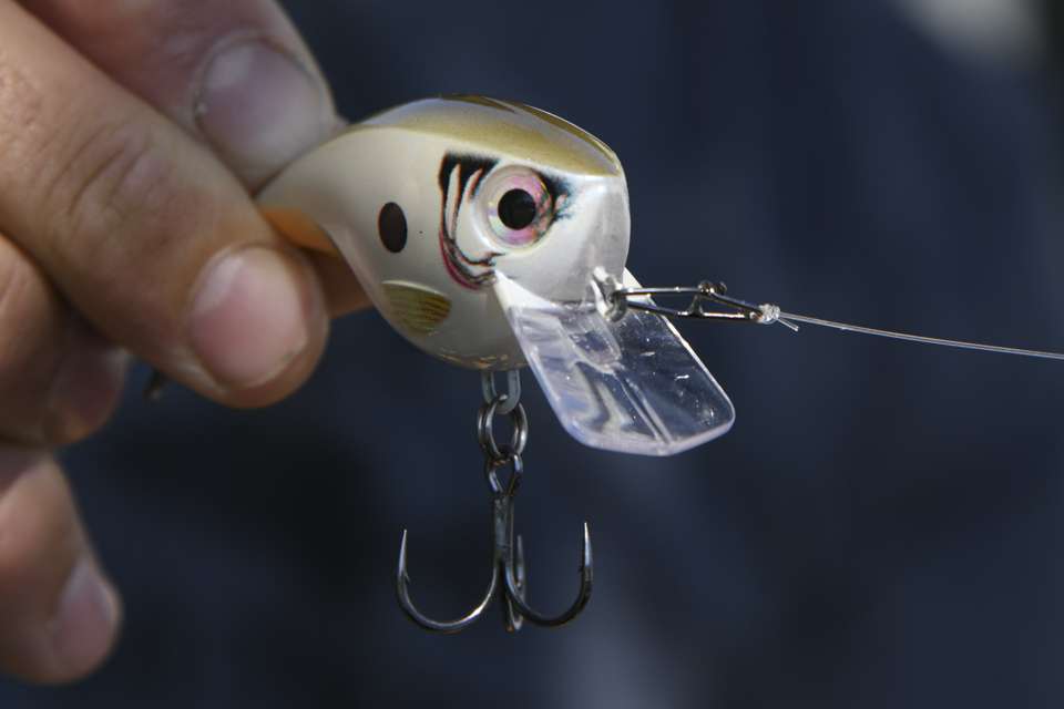 <b>Tech features:</b> The V-cut belly and semi-flat sides produce a unique action for a squarebill crankbait. âThe bait has a bigger lip on a smaller body,â said Palaniuk. âThe angle of the bill makes it deflect really well through the cover, and it wonât get stuck in the riprap.â
