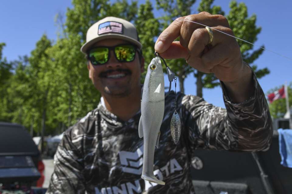 <b>Chris Zaldain </b><br>
<b>Favorite bait:</b> Megabass 6-inch Magdraft Freestyle Swimbait, Albino or White Back Shad, with a 7/0 Trokar Swim Blade Hook.
<br>
<b>Why he uses it:</b> You get a shad imitating bait that is ideal for a shad spawn, with the flash and vibration of a spinnerbait. 
