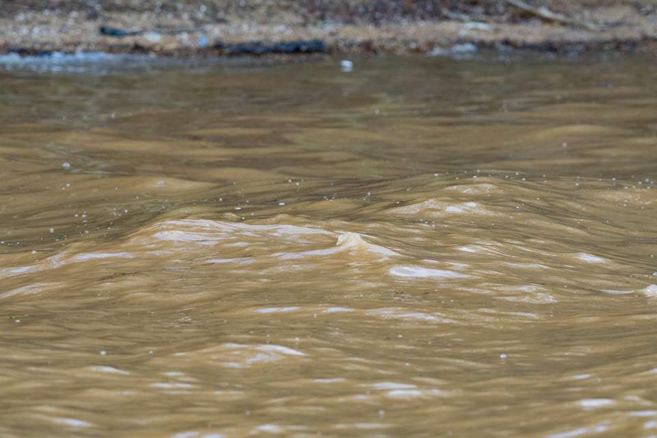 Muddy water. Itâs a given when seasonal rains run on the heavy side and the byproduct is dirty water. Dingy and warm water runoff are ideal for catching largemouth during this time. 

<br><br><i>All captions: Craig Lamb</i>
