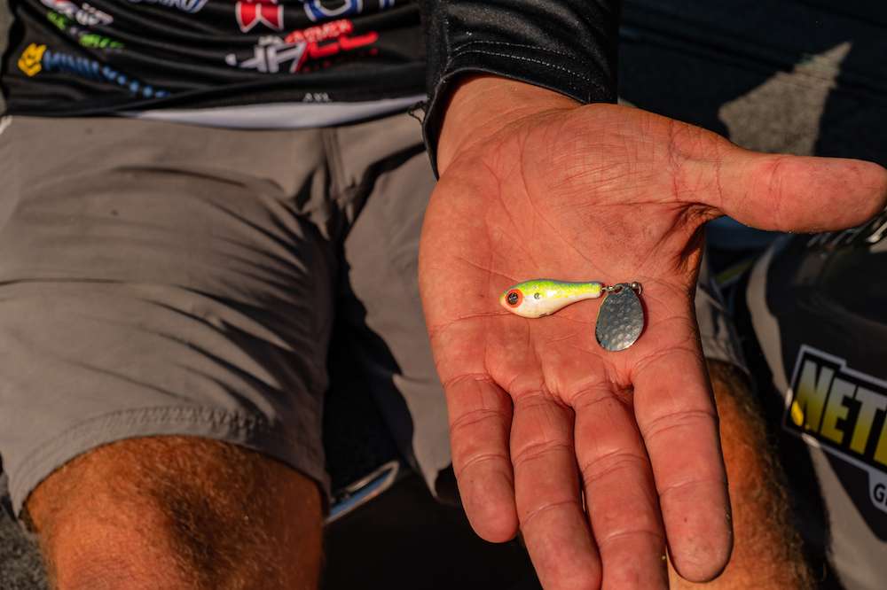 Another bait in his fall arsenal is the old school Tail Spinner. âWhen the water temp gets close to 50 degrees, pull this thing out and hang on!â Using the same setup as the blade bait - Halo TI 7-foot medium action rod with 10-12-pound fluorocarbon â Livesay will work both the tail spinner and the blade bait the same and then alternate baits while working a school of fish. 