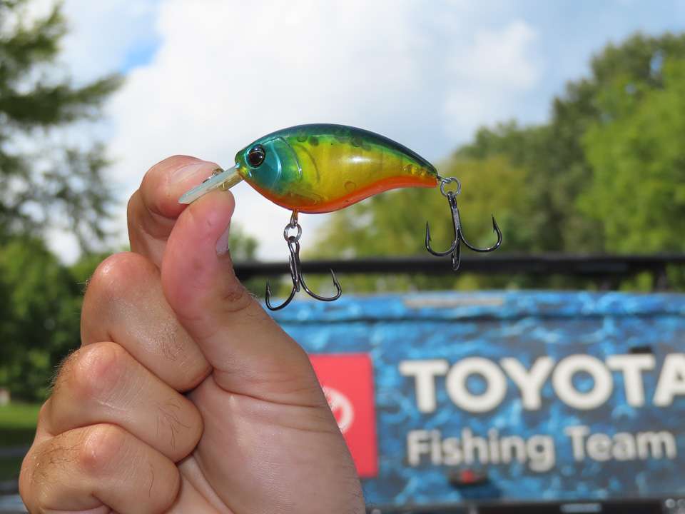 Lester's top fall lures for Tims Ford - Bassmaster