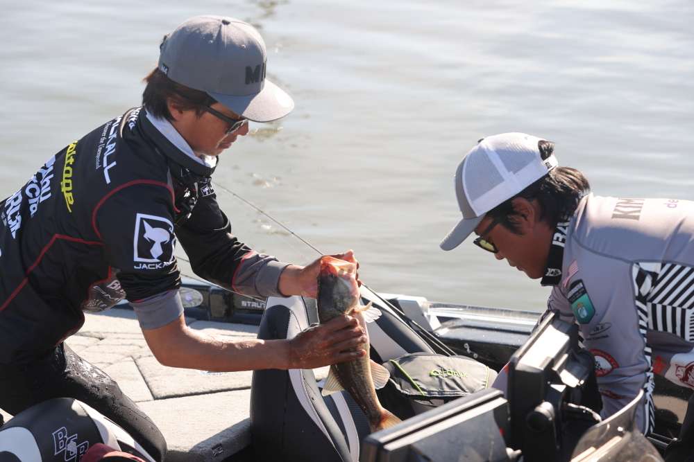 Take a look at all of the behind the scenes action on Day 2 of the Basspro.com Bassmaster Central Open at Grand Lake.