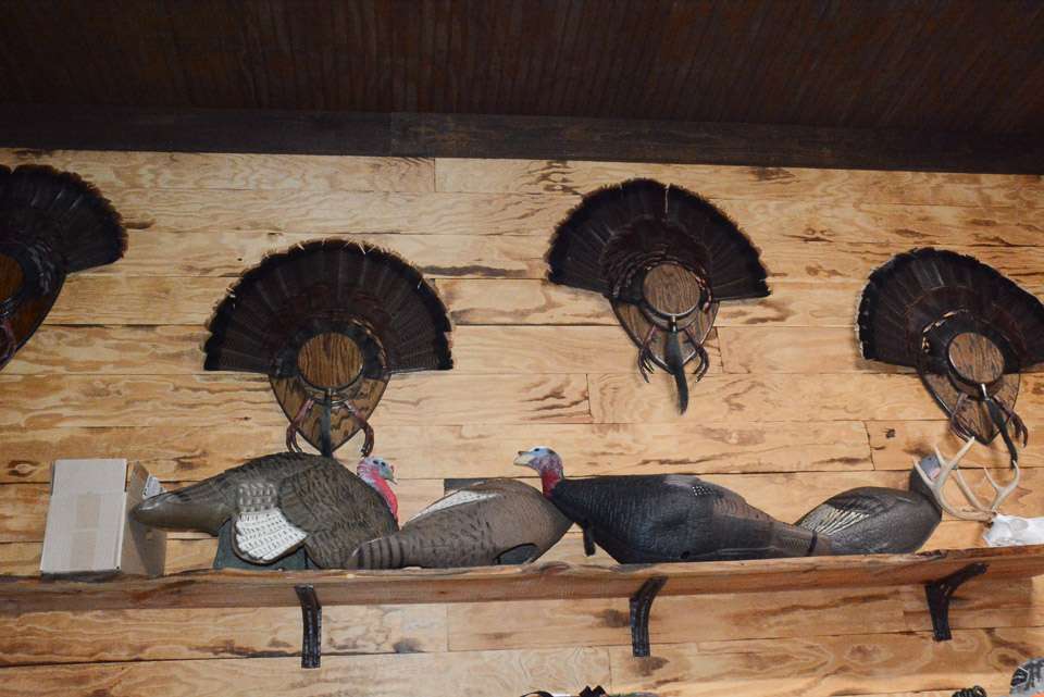 Decoys and mounts. What else would you expect in a man cave? 