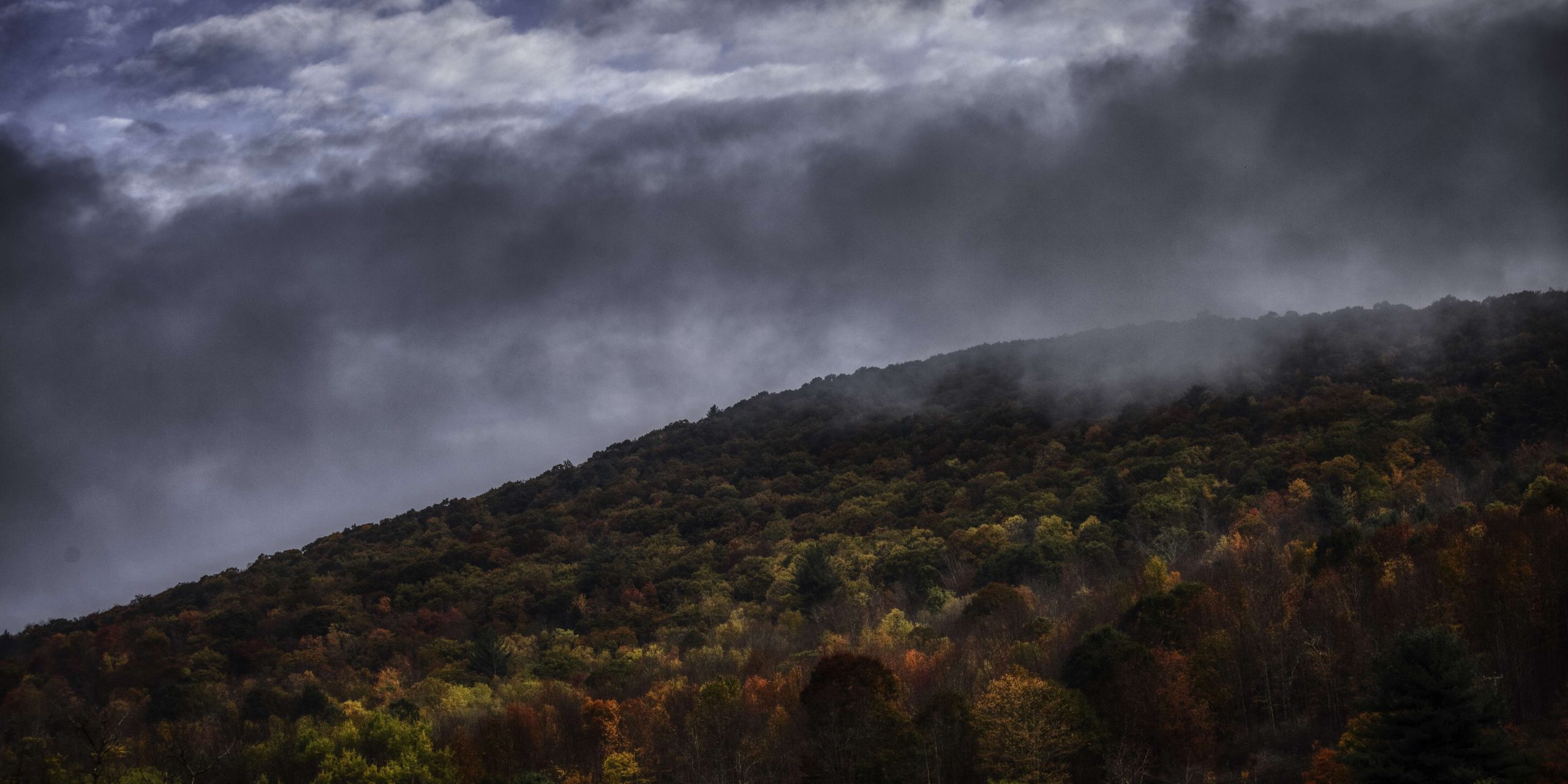 ⦠itâs one of those mornings that tingles your nose, a morning when you can smell the mist, smell the hill and the trees. One of those mornings when you stop dead and just look around and smile.